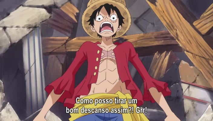 One Piece Episódio - 776Dizendo Adeus e Descendo Do Elefante!